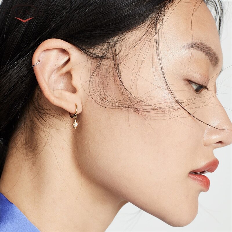 CANNER Gold Color Small Hoop Earrings for Women Girls 925 Silver Mini Circle Earrings Jewelry Zircon Star Earings H50