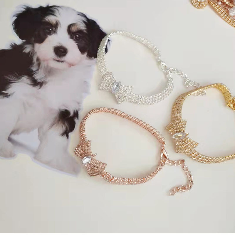 Zirkoon vlinderdas Chihuahua halsband Rose goud kreeft knop kat ketting met pakket doos verstelbare huisdieraccessoires voor het hele seizoen