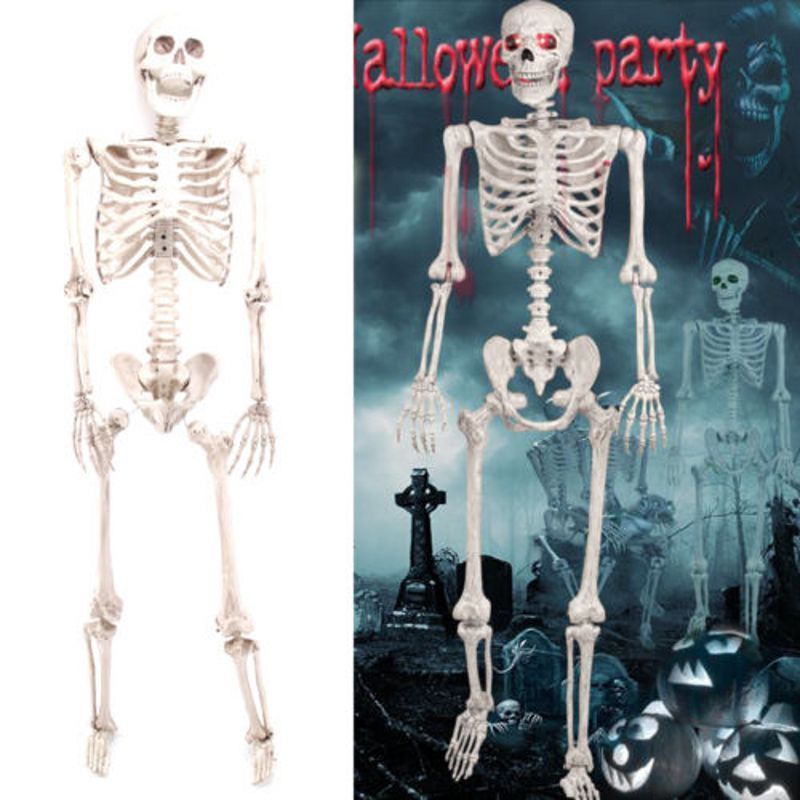 Full Size Human Skeleton Halloween Party Decoration Poseable Skull Lifelike Human Body Model Party Festival Decorations Props