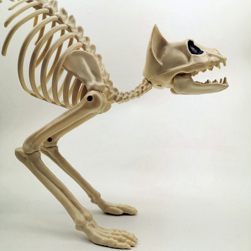 Halloween Decoratie Bone Props Dieren Skelet Ornament Botten Hallowmas Horror House Party Decoratie