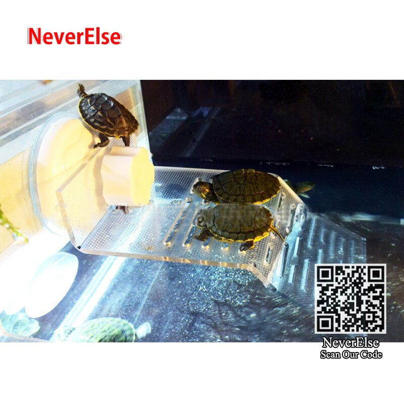 Tartaruga suola posteriore isola galleggiante taiwan Tartaruga Terrazza Acrilico tartaruga Elefante arrampicata acquario stazione di Tavolo in Plastica di acqua