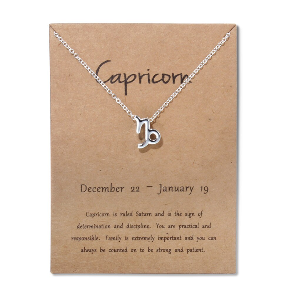 12signos do zodíaco joias de ouro, 12 constelações pingente colar para mulheres presentes de aniversário: Silver Capricorn