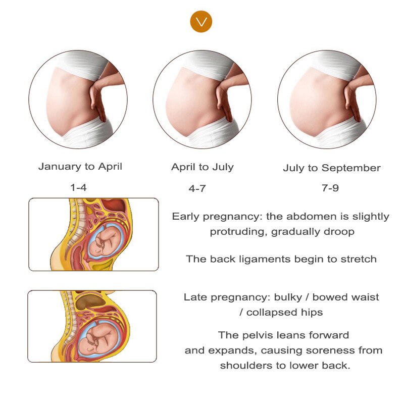 Ceinture ventrale de maternité, Section mince, respirante, Bandage de soutien Abdominal, douleur pubique, post-partum