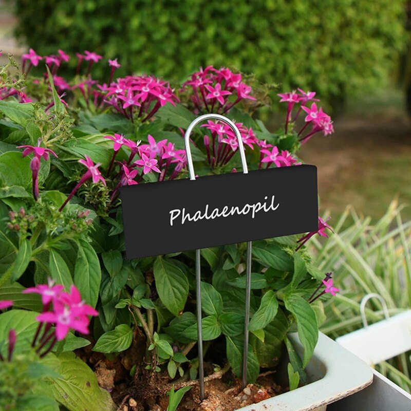 Beste 12 Pcs Metal Plant Labels Weerbestendig Tuin Markers Herbruikbare Nursery Tags Voor Kruid Bloem Kas (Zwart)