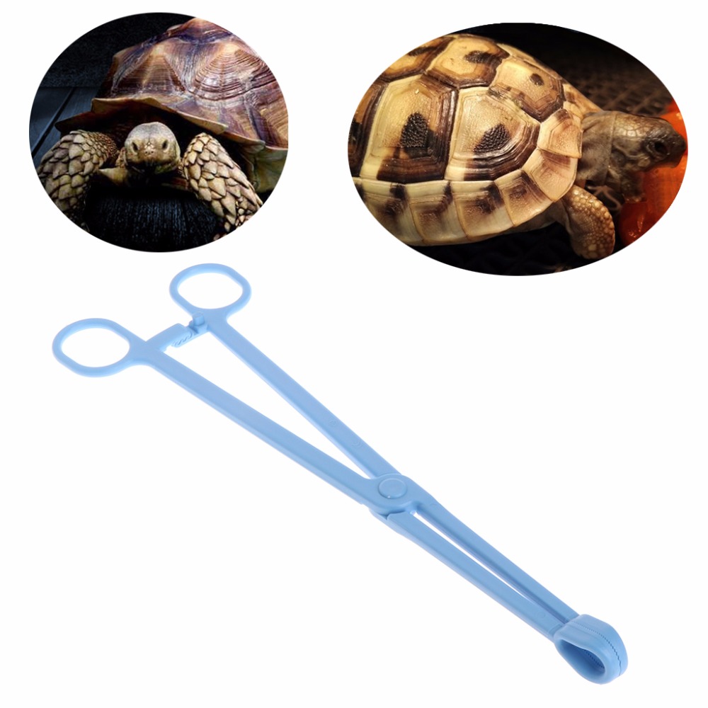 1 Pc Blauw Reptiel Slang Terrarium Hagedissen Plastic Tang Pincet Huisdier Raising Feeding Tool Clips Reptielen & Amfibie Levert C42