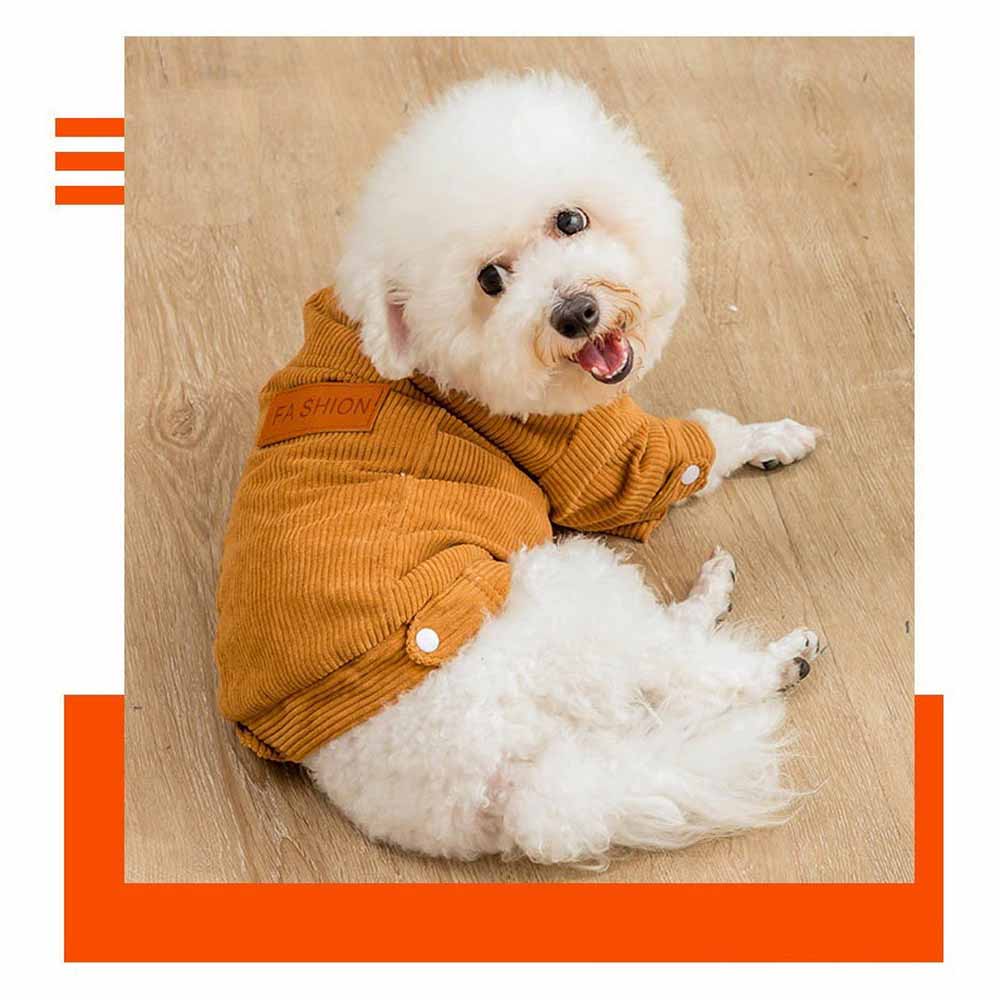 Herfst En Winter Hond Kleding Winter Warm Dierbenodigdheden Teddy Kleine Hond Jasje Leuke Jaar Kleding