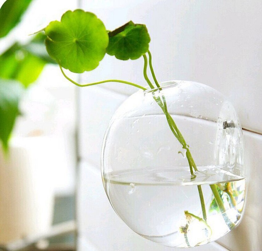 10m hangende glazen bloempotten, plantenbakken, terrariumcontainers, decoratie voor in de tuin