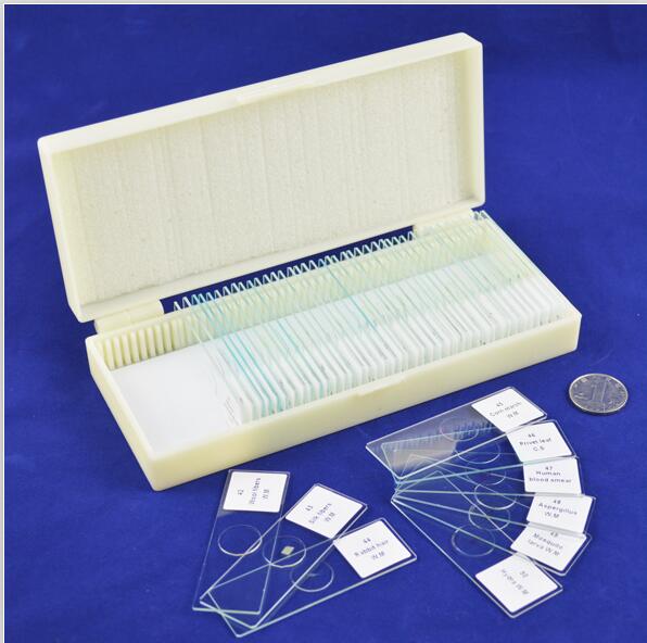 50 Uds diapositivas de vidrio para microscopio preparación histología diapositivas biológicas cubierta se desliza en caja de plástico