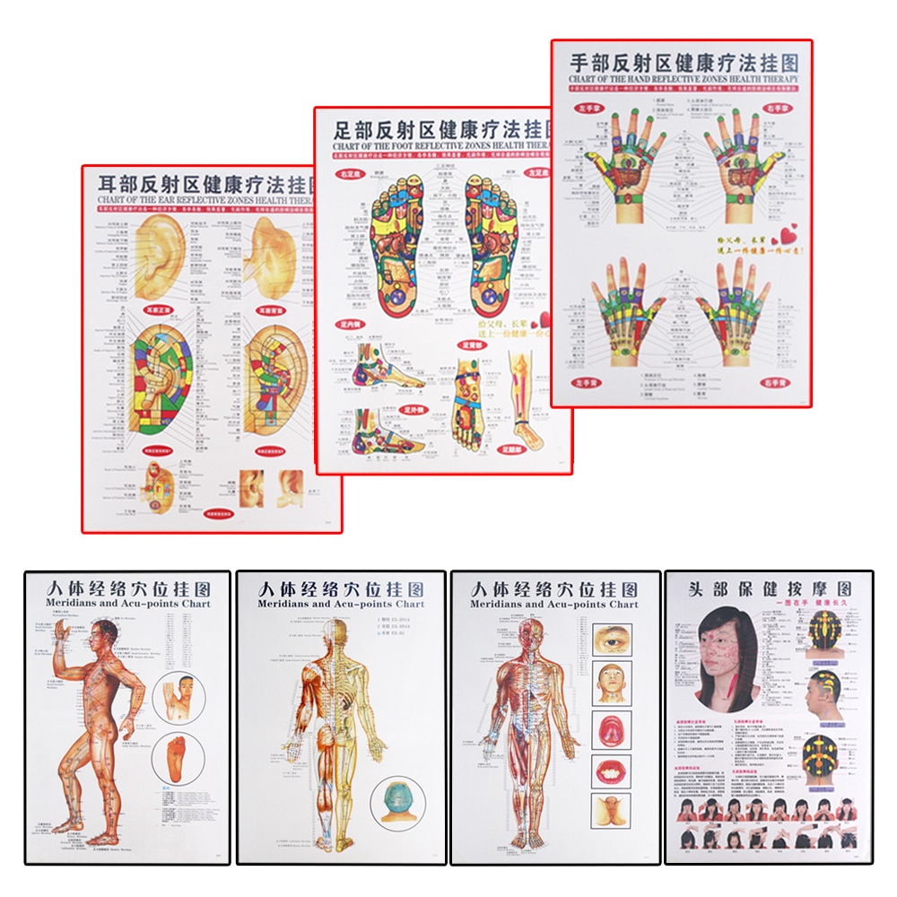 7 stks/set Acupunctuur Massage Punter Kaart Chinese & Engels Meridiaan Acupressuurpunten Posters Grafiek Muur Kaart For a Medische