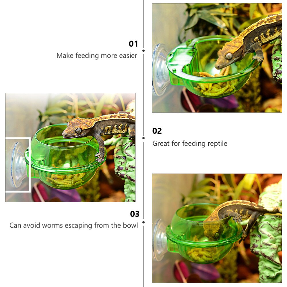 4Pcs Reptile Feeder with Suction Cup Lizard Wall Hanging Feeder Anti-Escape Bowl