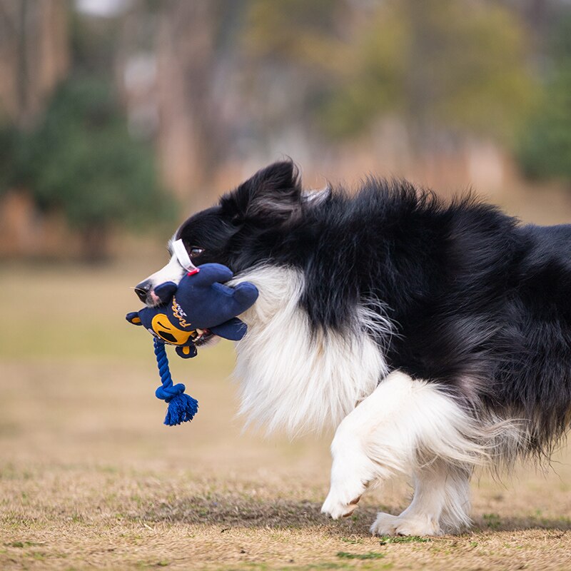 Medium-Grote Hond Speelgoed Tanden Slip Hond Speelgoed Interactieve Hond Speelgoed Golden Retriever Border Collie Shiba Inu Hond Training speelgoed