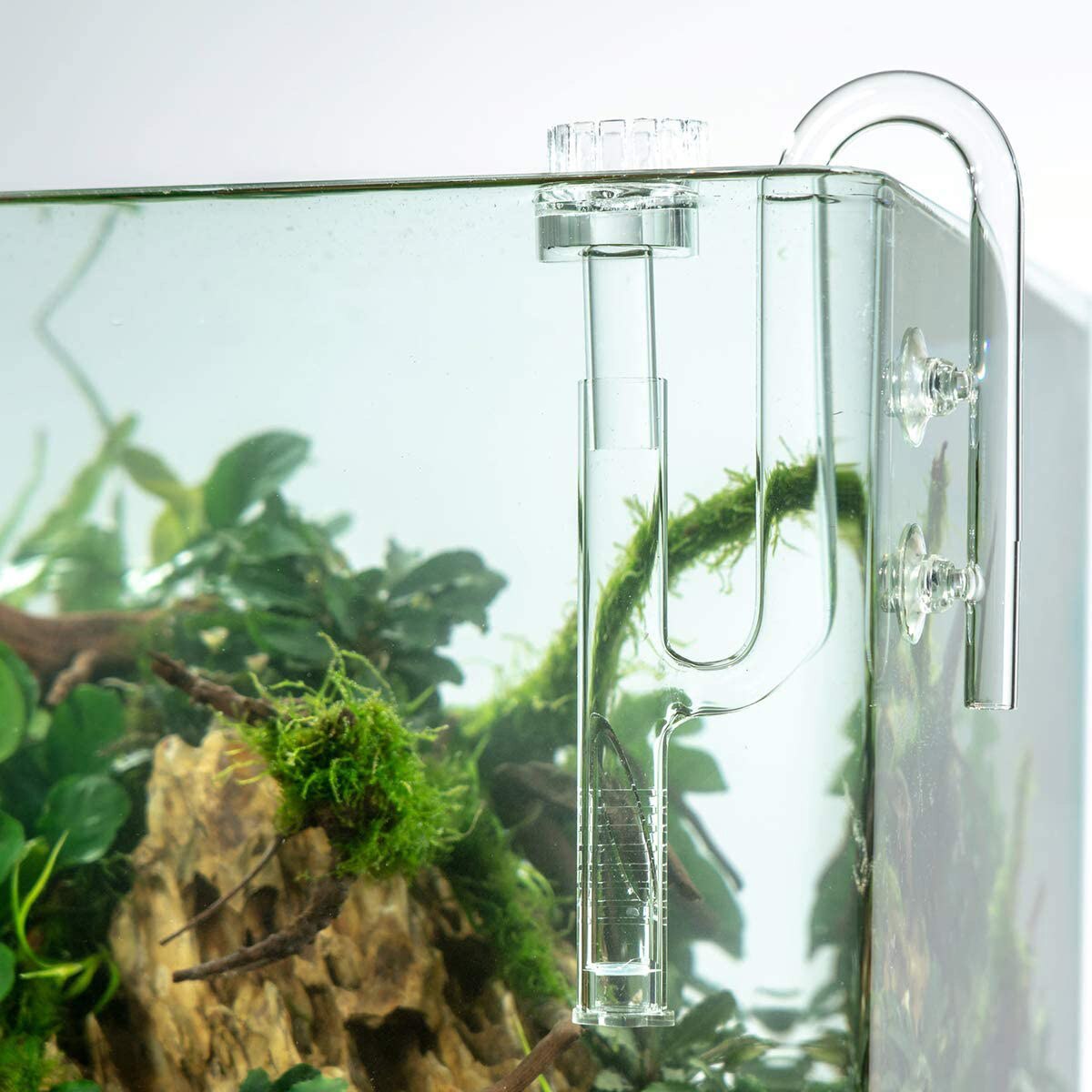 Aquarium Filterpijp - 13mm/17mm - Glazen Lily Pipe Oppervlakteskimmer Inlaat - voor Aquatisch Filtersysteem