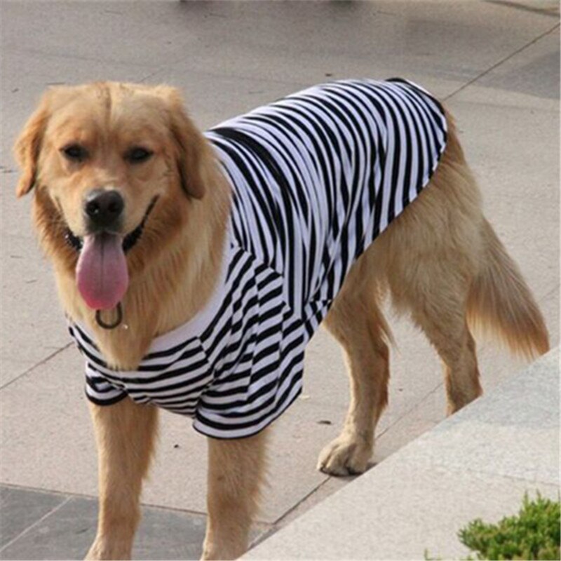 Stor hundetøj sommer stor hund t-shirt pyjamas bomuld hundeskjorte samoyed golden retriever labrador pet coat outfit beklædningsgenstand: Sort / L
