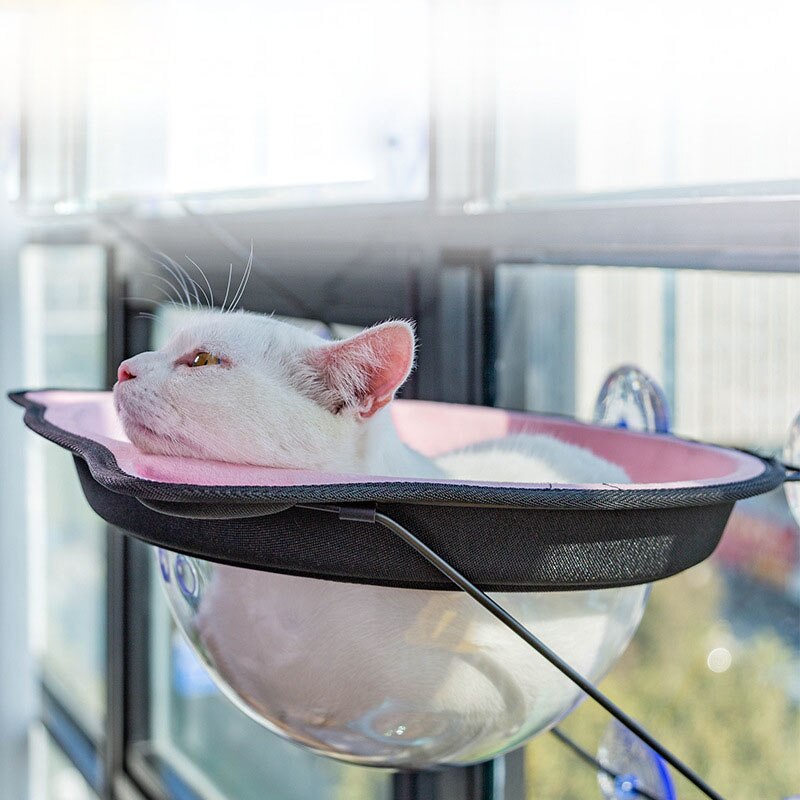 4 stuks kattenraam baars zuignap krachtige kat raam bed stoel vervanging zuignap duidelijke PVC zuignappads voor kat hangmatten kat raam stoel kat baars