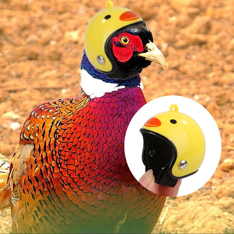 Pet Chicken Bird Helmet Small Pet Hard Hat Funny Chicken Helmet Hen Hard Bird Hat Headgear Protective Pet Helmet Pet Supplies
