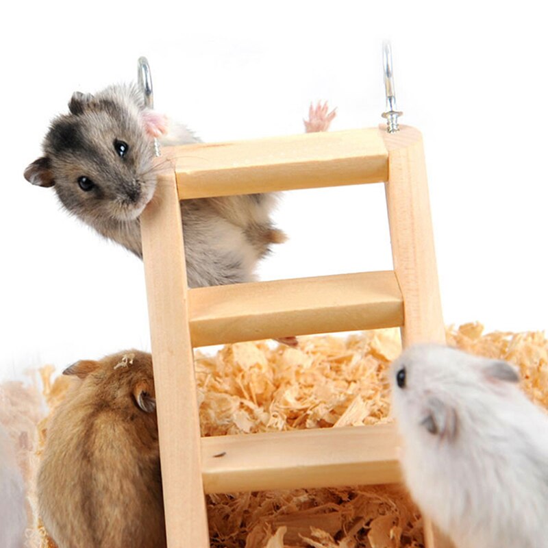 Petit animal de compagnie escalier jouet Hamster c – Grandado