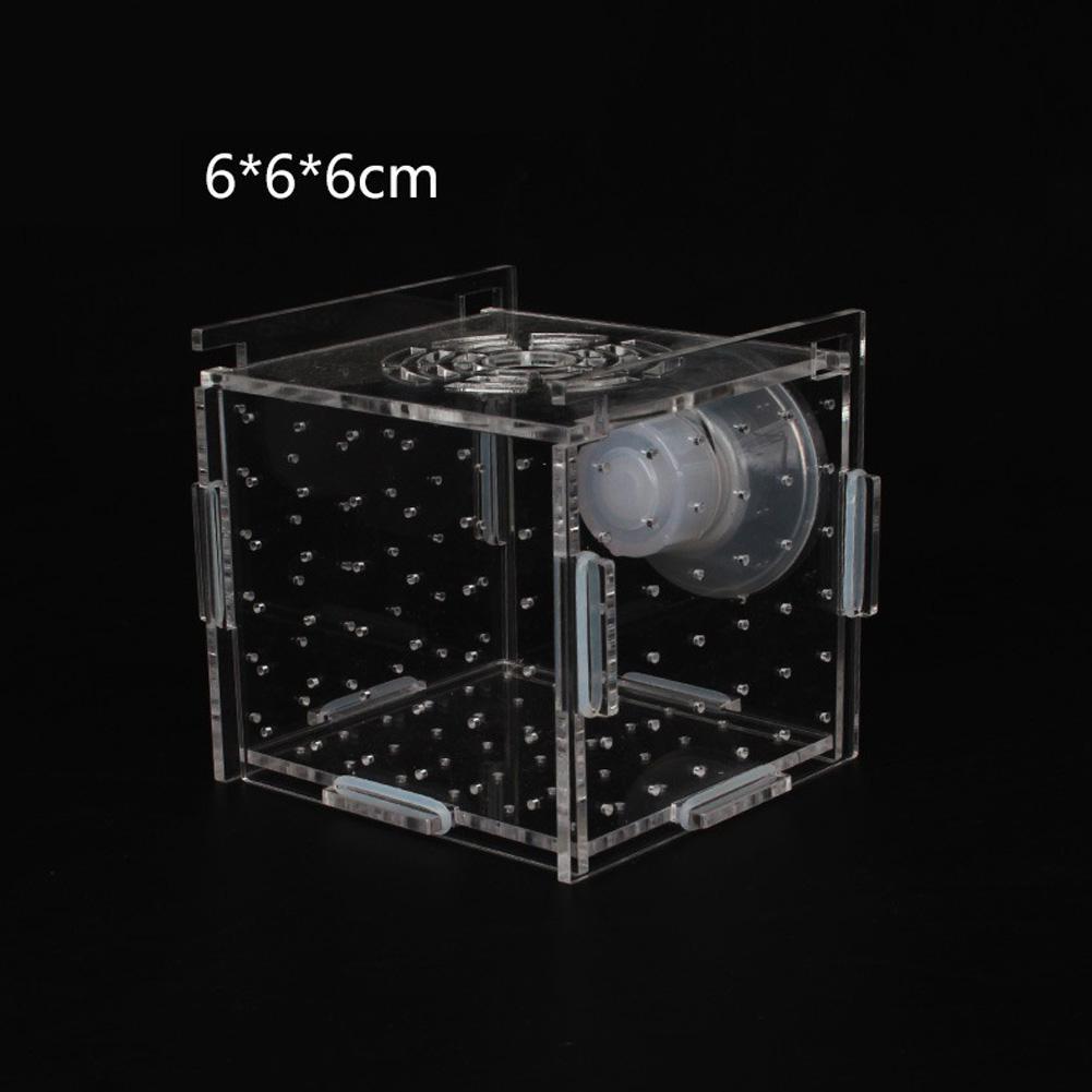 Single Grid Breeding Box Incubator Isolation Hairtail Nursery House Aquarium Accessaries: mini 6x6x6cm