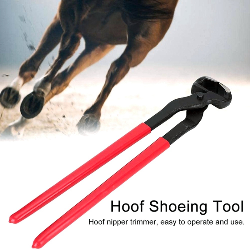 Pince à sabot de cheval de 16 pouces Farrier, coupe-ongle de cheval, pince à ongles de cheval, fournitures cavalier, outil de Farrier de cheval