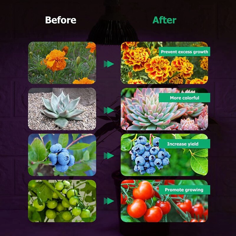 LED Grow Lights Bulb E27 50W Plant Grow Light Full Spectrum Or Indoor Plants Garden Growing Greenhouse Succulents