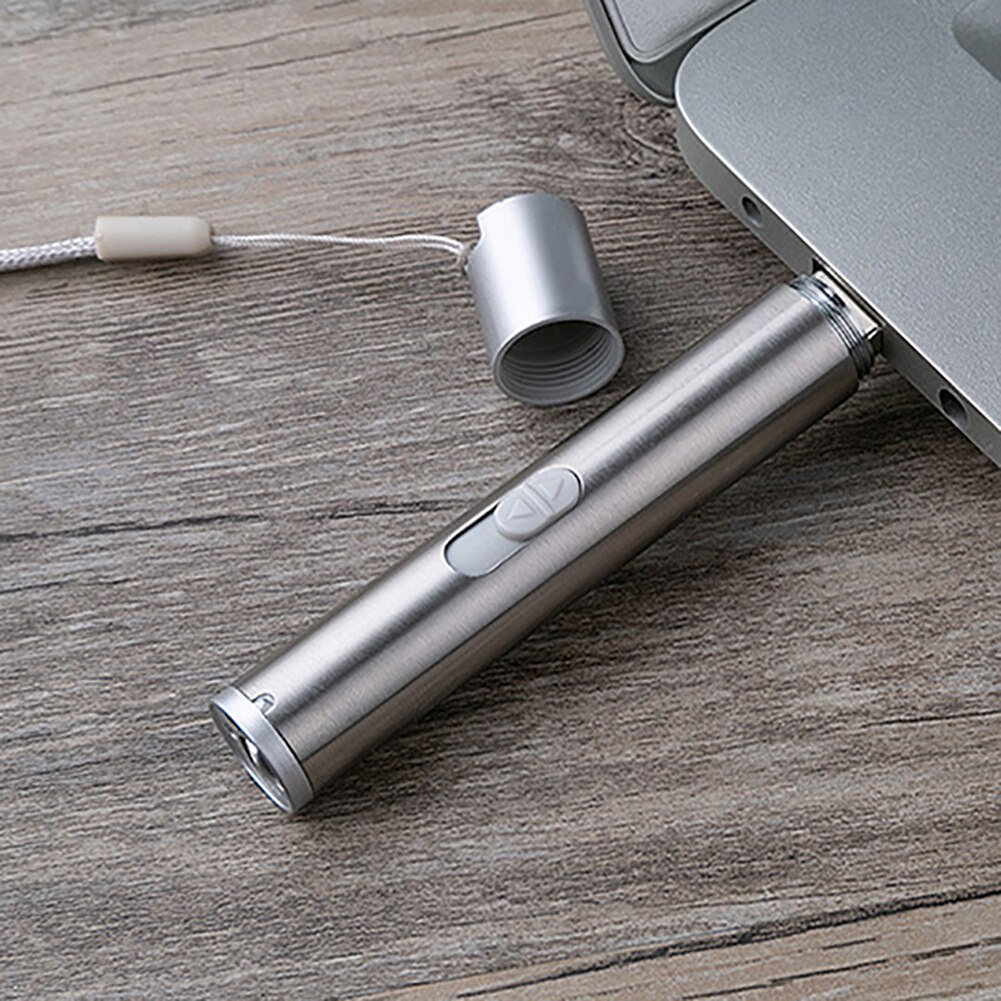 3-in-1 Pet Teaser USB Chargeable LED Flashlight Pointer Pen Luminous Interactive Cat Toy