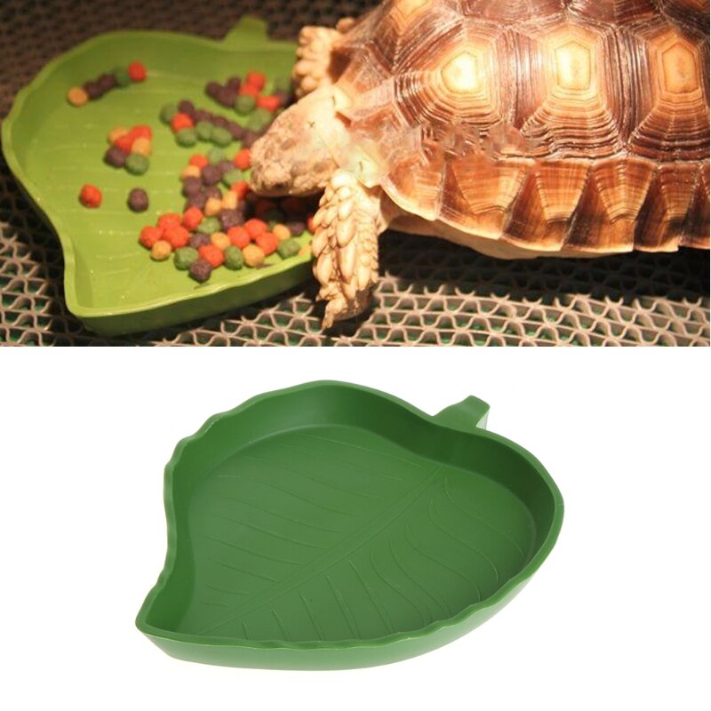 Krybdyr vand mad fad skål plast gekko måltid orm feeder blad form 2 størrelse kæledyr forsyninger