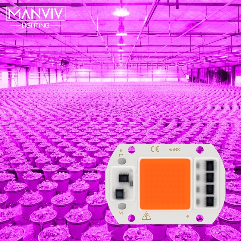 Led Chip 10W 20W 30W 50W Led Cob 220V Groeien Licht Koud Warm Wit Lamp kralen Niet Nodig Driver Flood Light Spotlight Diy Verlichting