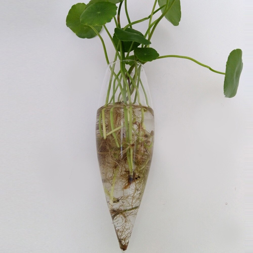 suspended hydroponic vases Glass Wall Hanging Vase Bottle for Plant Flower Decorations: Multi