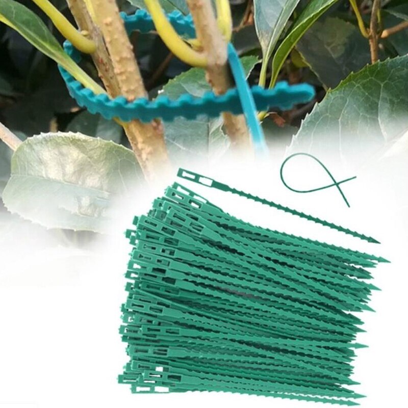50 Stks/partij Tuinieren Helper Multi-Gebruik Herbruikbare Banden Voor Klimmen Flexibele Plastic Plant Kabelbinders Plant