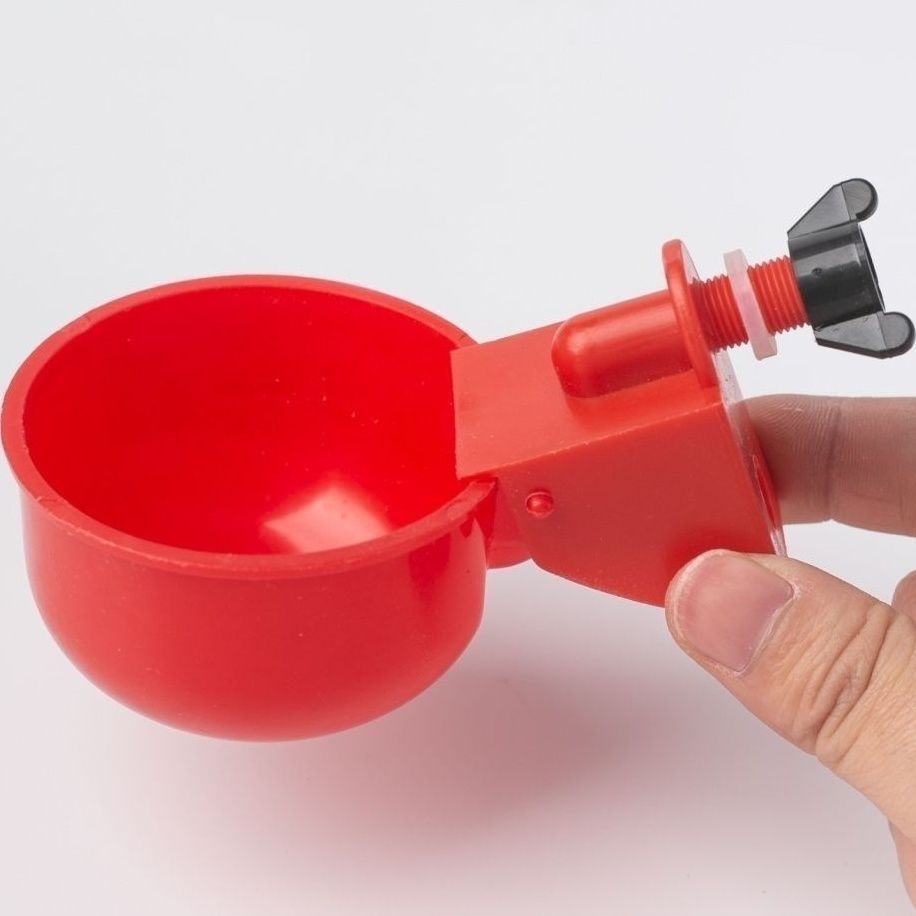Kip Drinkbak Drinkwater Kwartel Pluimvee Automatische Water Dispenser Eend En Duif Vrije Uitloop Kip