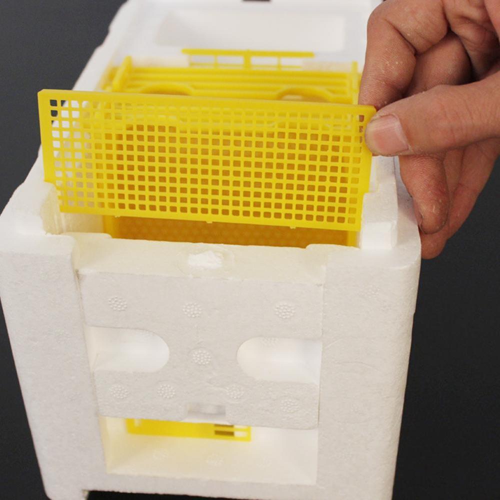 Kunststoff Biene Kasten Bienen Schwanz Kasten Bienenwabe Kasten Ernte Waben Bestäubung Honig Bienen Paarung Biene König Hohe Dichte Schaum Biene Kasten