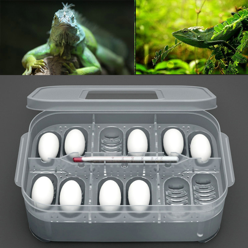 12 krybdyr inkubatorbakke og firben gekko slange fugleæg klækketermo