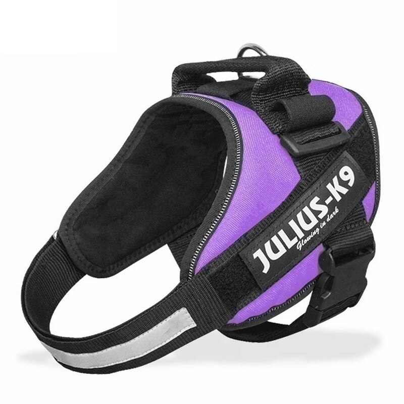 Uprząż zwierzęca zestaw JULIUS K9 smycz dla psa dla małego dużego wzrostu szkolenia Pet Safety Cat wodoodporny Nylon: S / Purple