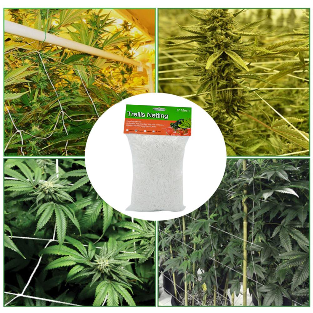 Trellis Netting Polyester Plant Climb Trellis Netting Support Space Saving Plant Climbing Net Gardening Accessories