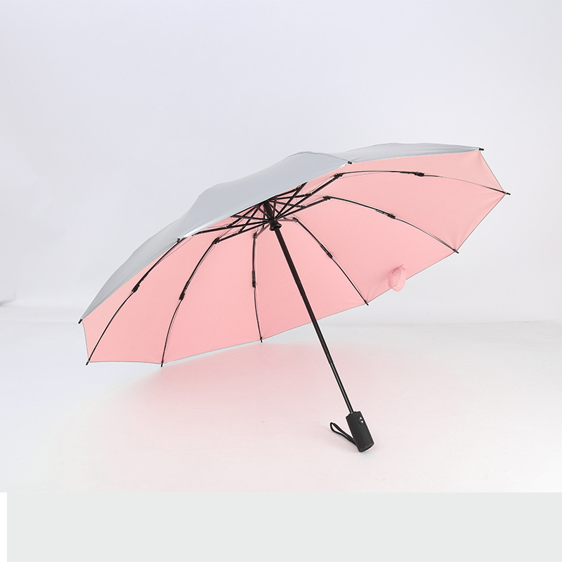 Inverted Windproof Umbrella with Coating,10 Ribs Auto Open & Close Travel Umbrella,Portable Reverse Outdoor sun Umbrellas: 11