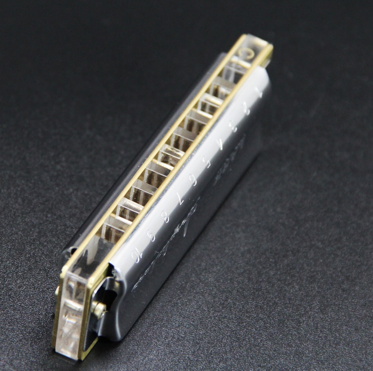 LARK 10 hole blues diatonic harmonica for player,beginner