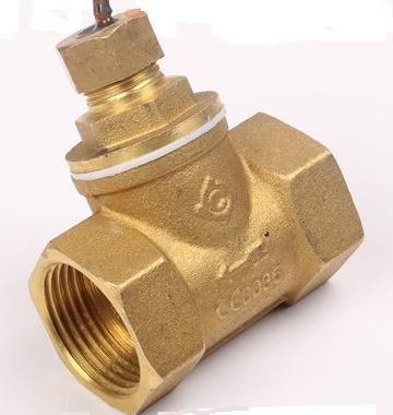DN25 Copper water flow switch G1'' liquid magnetic flow switch