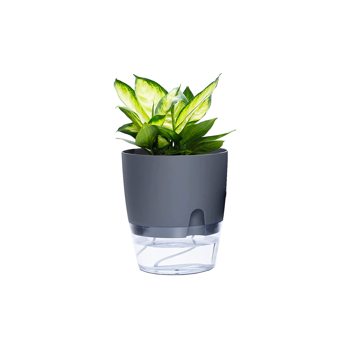 2 Layer Watering Planter Lazy Self Watering Pot Automatic Succulent Container for Flower Plant Indoor Supplies White Gray: gray 10.5cm