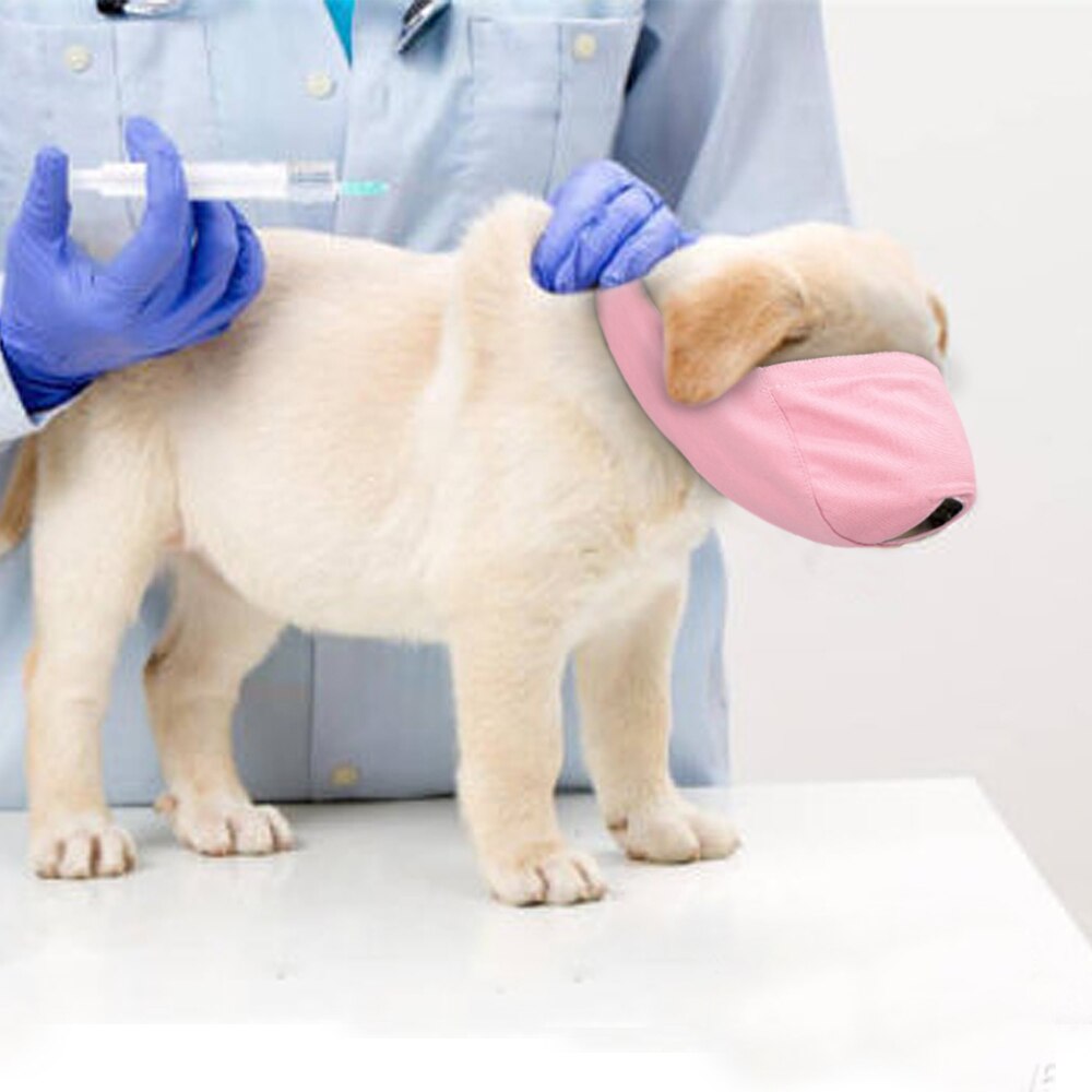 Breathable Cat Muzzle Anti Bite Kitten Muzzles Mask Cats Bathing Grooming Bag Pet Supplies