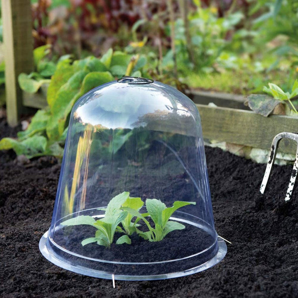 4 Uds jardín Cloche cúpula planta Bell planta cubre para decoración de jardín Protector de plantas cubierta de plástico para tapa de protección de planta