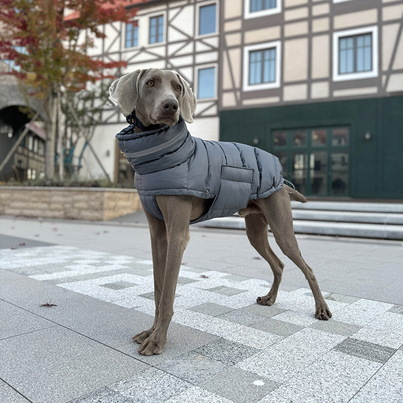 Haustier Hund Winter Warme Mantel Kleidung Daunenjacke Wasserdichte Fleece Weste Verdicken Mantel Kleidung für Hunde Welpen Katzen Haustier kostüm