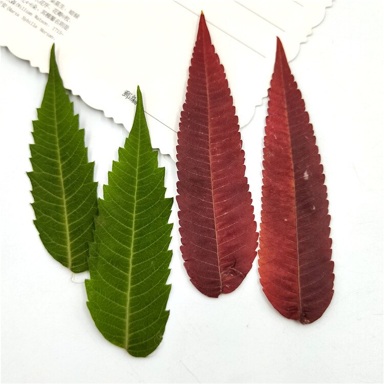 Seca Hua Ya gofrado con flores pintura niños pequeños hecho a mano Maquillaje facial muestra de planta Epoxy estuche de mano ganzo multifuncional