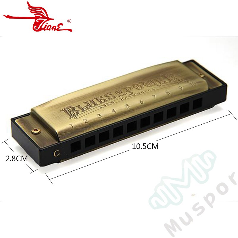 SWAN Bronze 10 Holes Diatonic Blues Harp Harmonica Key of C 20 Tones: Default Title