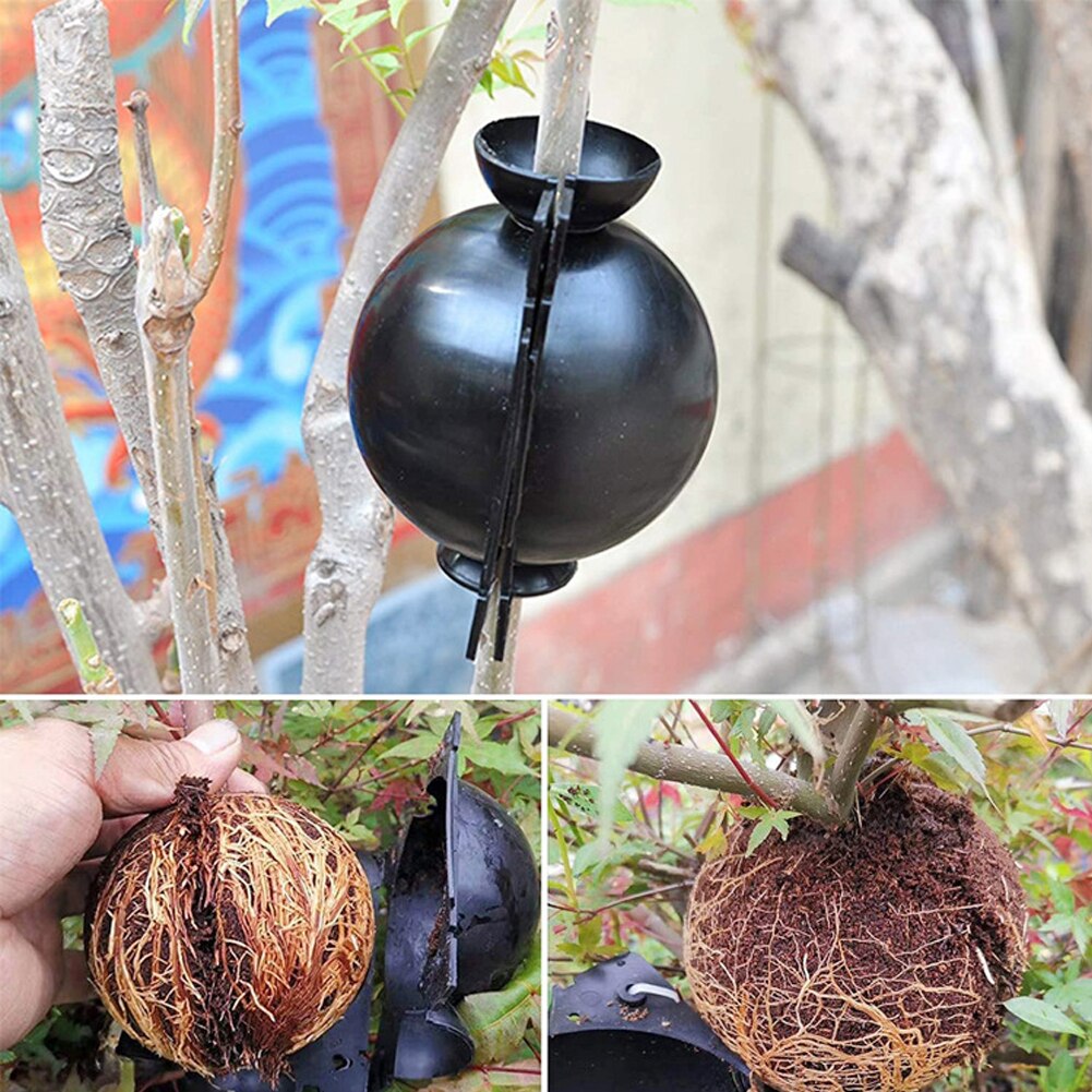 Dispositivo de estratificación de aire de 5 piezas, caja de enraizamiento de plantas de alta presión, injerto, Bola de crecimiento de cría, crecimiento de árboles jóvenes de jardín