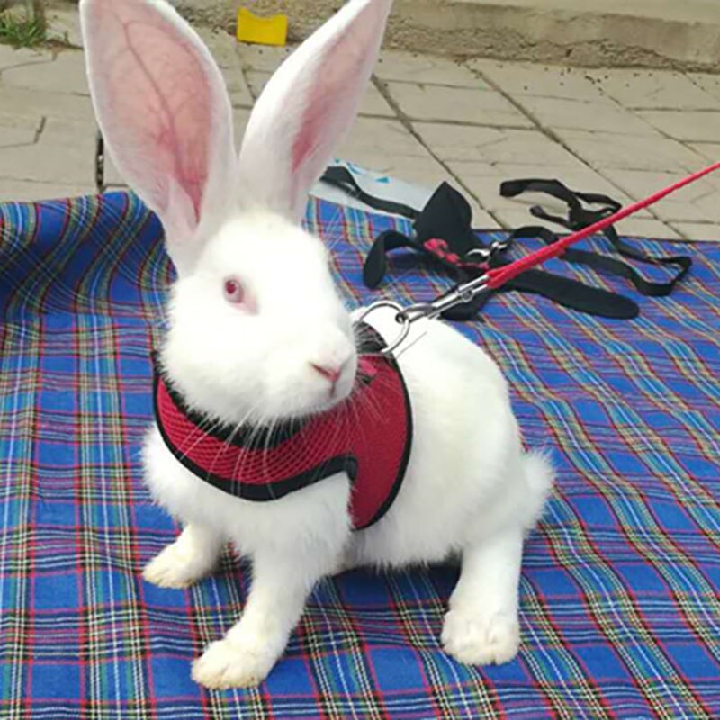 Arnés para chaleco de conejo para hámster, correa para el pecho, correa para Hurón, conejillo de indias, accesorios para animales pequeños