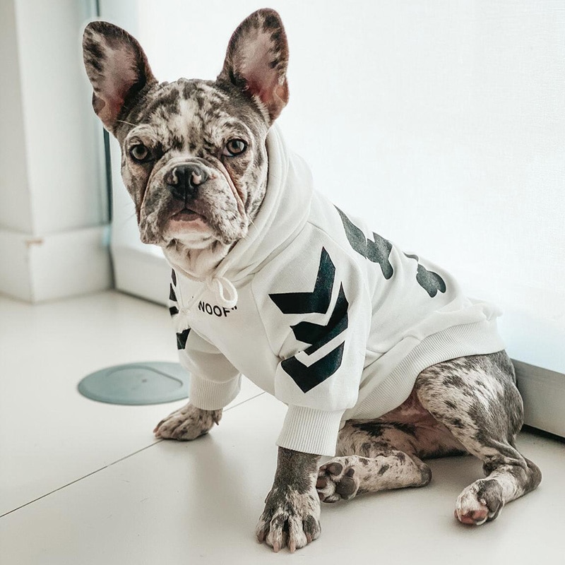 Dog Hoodie Winter Pet Dog Clothes For Dogs Coat Jacket Cotton Ropa Perro French Bulldog Clothing For Dogs Pets Clothing
