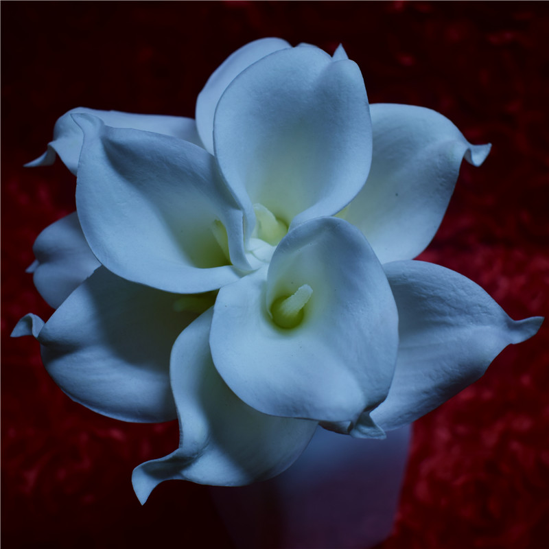 Oasis Teal Wedding Flowers Teal Blue Calla Lilies 10 stem Real Touch Calla Lily Bouquet Wedding Centerpieces artificial flowers: off white