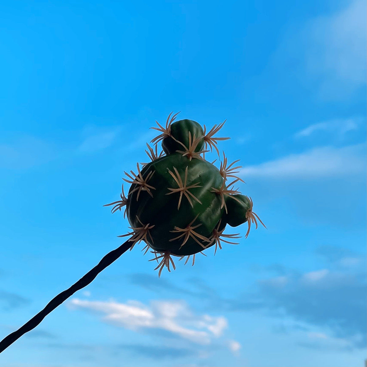 Mini Auto Antenne Decoratie Exterieur Decoratie Antenne Leuke Cartoon Voedsel Pop Cactus Dak Modificatie: NO. 6