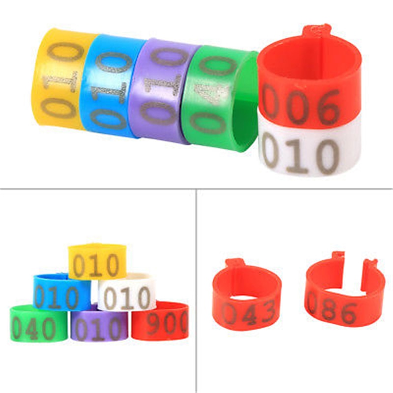 100 Pcs Chicken Leg Bands 1.6cm Chicken Poultry Rings Pigeon Geese Quail Bird Ring Carry Tools Feeding Logo 5 Colors