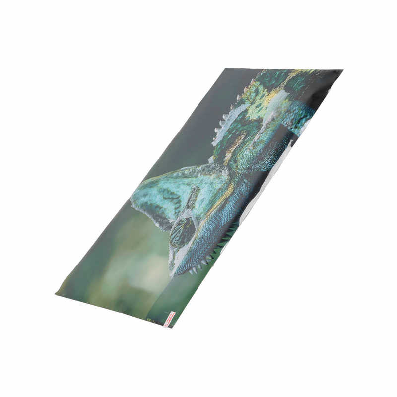 Aquarium Background Aquarium Sticker PVC Material for Fish Tank