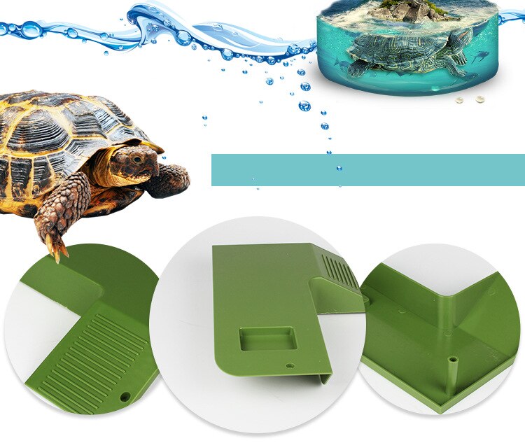 Amfibie aquatisch klim droogvoer tank trap drijvend platform unieke landschapsarchitectuur reptiel braziliaanse schildpadden schuilplaats aquarium